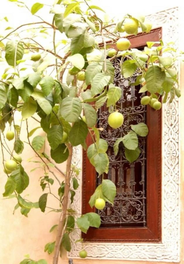 Riad Dar Rania Marrakech Medina Jemaa El Fna Marraquexe Exterior foto